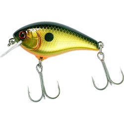 Jackall-Aska-gold-&-black