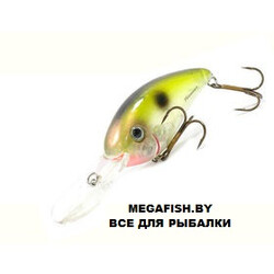 Bomber-Fat-Free-Shad-MMS