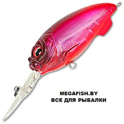 MEGABASS-MR-X-CYCLONE-NC-FFR
