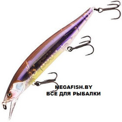 Jackall-RV-Minnow-110SP-pol-skeleton-wakasagi