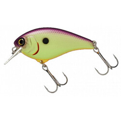Jackall-Aska-purple-chartreuse