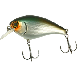 Jackall-Aska-shibu-silver