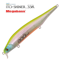 Megabass-Ito-Shiner-SSR-aurora-reaction