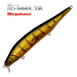 Megabass-Ito-Shiner-SSR-gg-perch