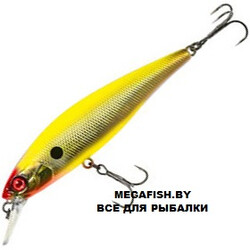 Jackall-Squad-Minnow-95SP-Gold-&-Chart