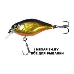 Jackall-10cc-hl-gold-&-black