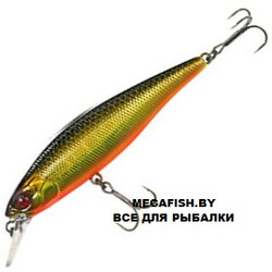 Jackall-Squad-Minnow-95SP-HL-Gold-&-Black