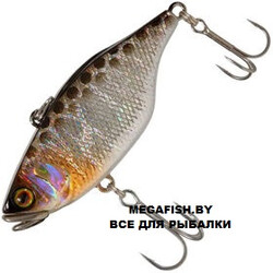 Jackall-TN80-hl-silver-&-black