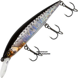 Jackall-Rerange-HL-Silver-&-Black