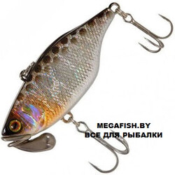 Jackall-TN70-Trigon-hl-silver-&-black