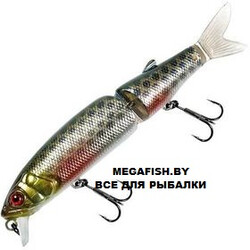 Jackall-Tiny-Magallon-Roach