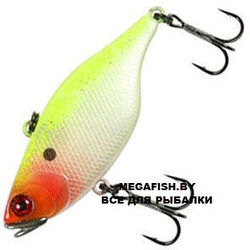 Jackall-TN80-ruddy-shad