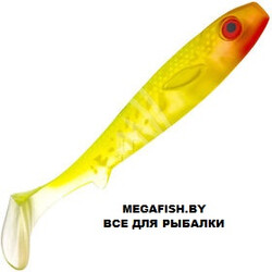 Kanalgratis-Flatnose-Shad-Transparent-Pike