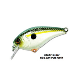 Jackall-Aska-SS-Shad