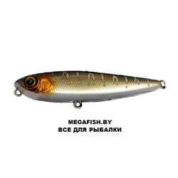 Jackall-Chubby-Pencil-Tiger-Pike