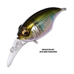 MEGABASS-MR-X-GRIFFON-wagin-oikawa