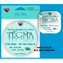 Condor-Tegma