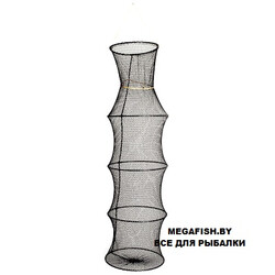 sadok-salmo-7