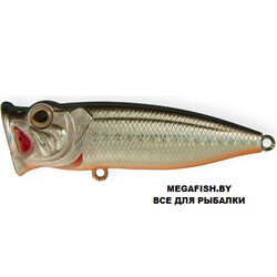 Strike-Pro-Pike-Pop-Mini-45-A70-713