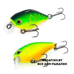 Akara-Babbler-40F-A20