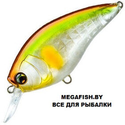 Yo-Zuri-L-Bass-Crank-SR-MGSA