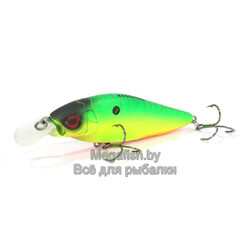 Воблер Inborn XS 75F (7,5см, 12,3гр, 0,4-0,8м) floating InbxS75F-MHT