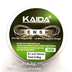 KENSHI