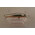 Воблер ZipBaits Rigge Deep 70SP (7см, 5,3гр, 1,5-2,0) suspending 840MN 3
