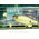 Воблер Megabass Deep-X 100 (9,6гр, 5,8см, 2,5-3,5м) floating Strike Chart 2
