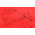 Катушка безынерционная Daiwa Crossfire 2500 17 7
