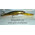 Воблер Deep Long A B25A (11,4см, 21гр, 3,6-7,6м) floating XMKO 2