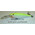 Воблер Rapala  Minnow  Rap 7  (7см 6г 1,2-2,7м) floating цвет SFC (Silver Fluorescent Chartreuse)