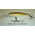 Воблер Rapala  Minnow  Rap 7  (7см 6г 1,2-2,7м) floating цвет BT (Brown...