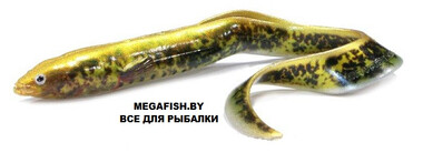 Приманка Savage Gear LB Real Eel 150 (12 гр; 15 см) Lamprey PHP