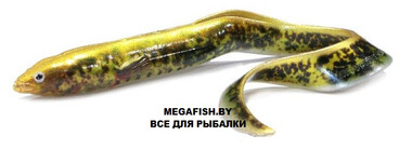 Приманка Savage Gear LB Real Eel 200 (27 гр; 20 см; 1 шт.) Lamprey PHP