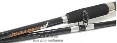 Спиннинг Flagman BigFish (210 см; 100-250 гр) 3