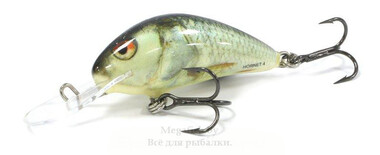 Воблер Salmo Hornet F04 (3гр, 4см, 1,5-3,1м) floating RD