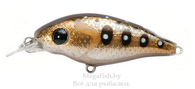 Воблер Pontoon21 Gem 40F-SR (2,5гр, 4см, 0,4-0,7м) floating 504 2