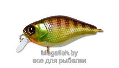 Воблер Jackall Chubby 38F (4гр, 3,8см, 0,5-1м) floating noike gill