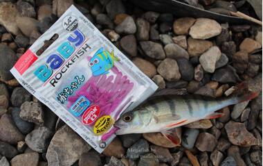 Приманка Lucky John Baby Rockfish 1.4" (0.38 гр; 3.5 см; 20 шт.) F05 4