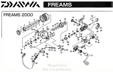 Катушка безынерционная Daiwa Freams 11 2000 8