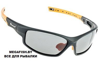 Очки Tagrider N25-2 Gray