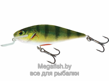 Воблер плавающий   Salmo EXECUTOR SR  05/RPH  (Real Perch)