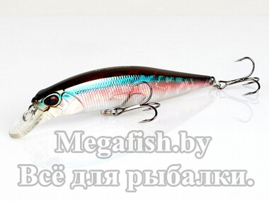 Воблер DUO Realis Jerkbait 100SP (100мм, 14.5 гр 0.8-1.5м) D13