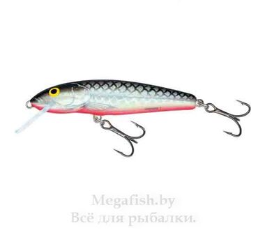 Воблер плав. Salmo MINNOW F 09/GS