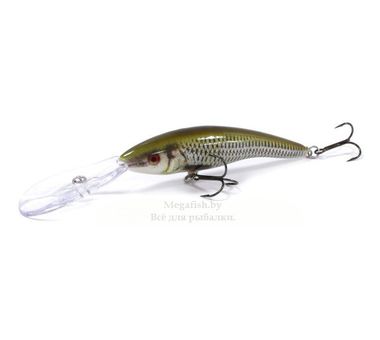 vobler-rapala-deep-tail-dancer-tdd13-rol