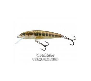 Воблер плав. Salmo MINNOW F 07/M