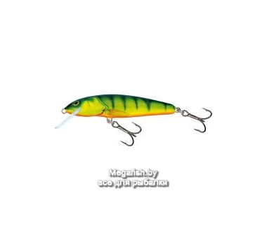 Воблер плав. Salmo MINNOW F 09/HP