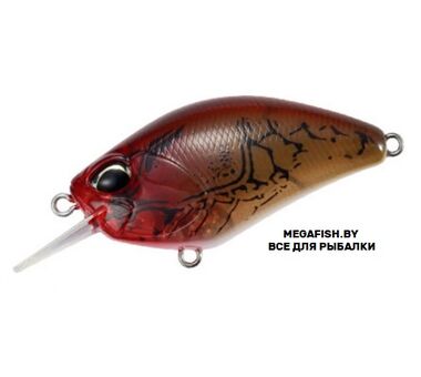 Воблер DUO Realis Crank 55SR Kabuki (9.7 гр; 5.5 см; 1.5-1.8 м) CCC3307