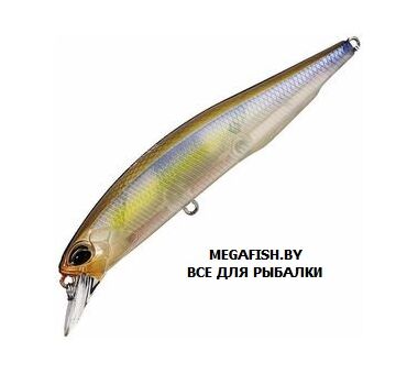 Воблер DUO Realis Jerkbait 120SP (18 гр; 12 см; 1-1.8 м) CCC3176